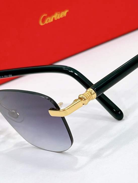 Picture of Cartier Sunglasses _SKUfw77796701fw